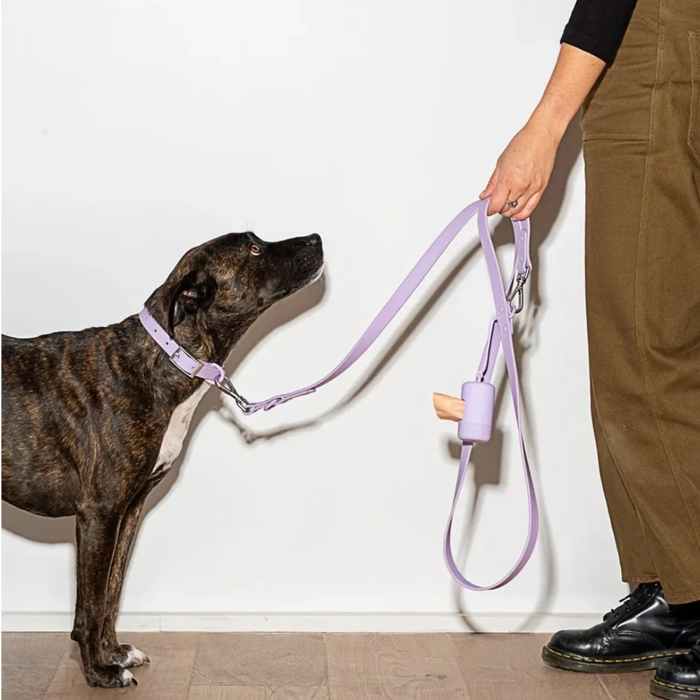 Wild One Collar - Lilac - XS (7